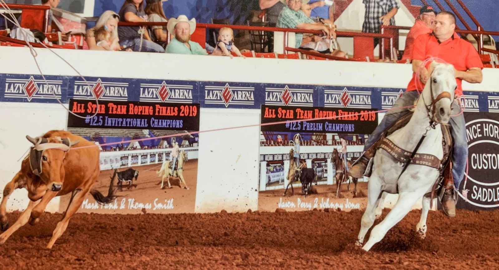 HorseCraft Products Horse Craft Red Dally Wrap