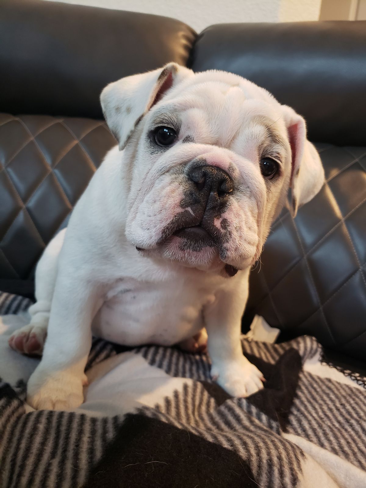 Open useruploaded photo and review in a modal