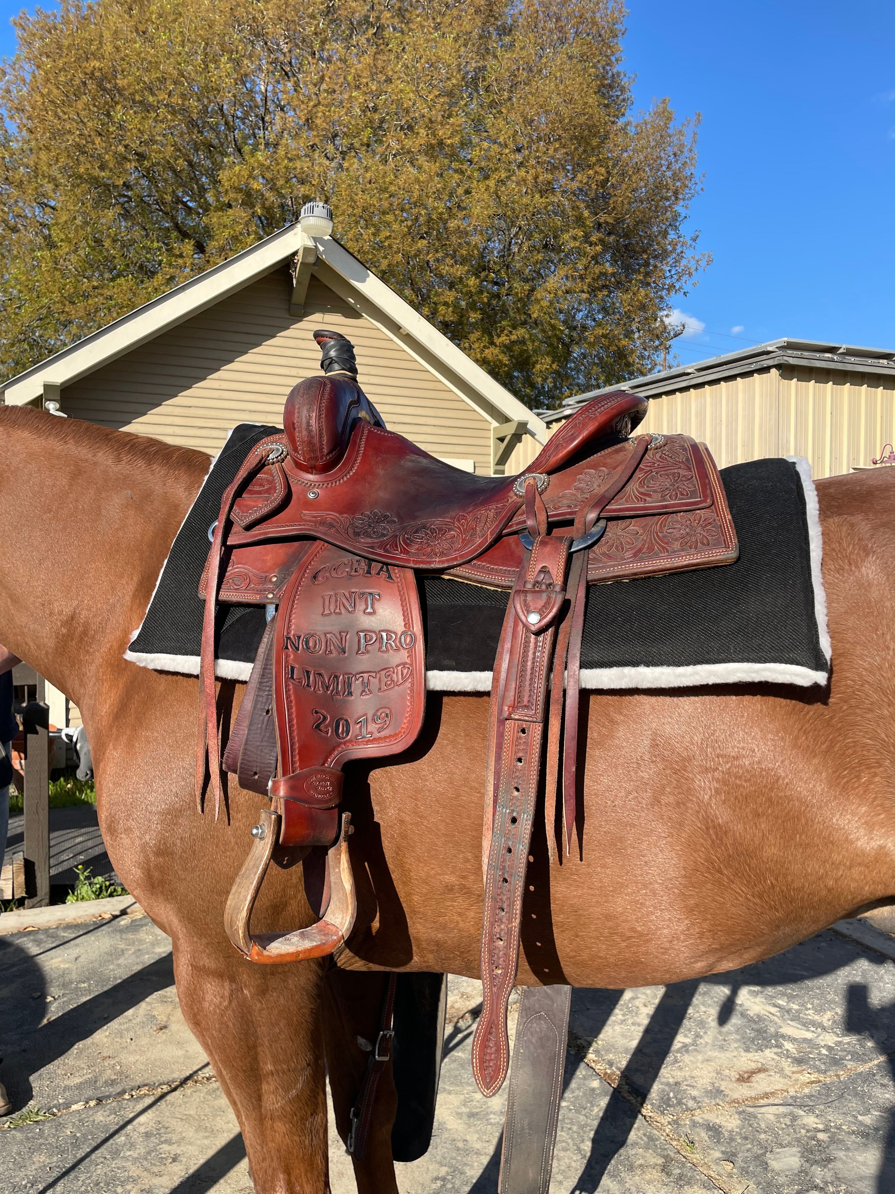 Showman Saddle Pad Diamond Wool Comfort Cutter Pad Soft