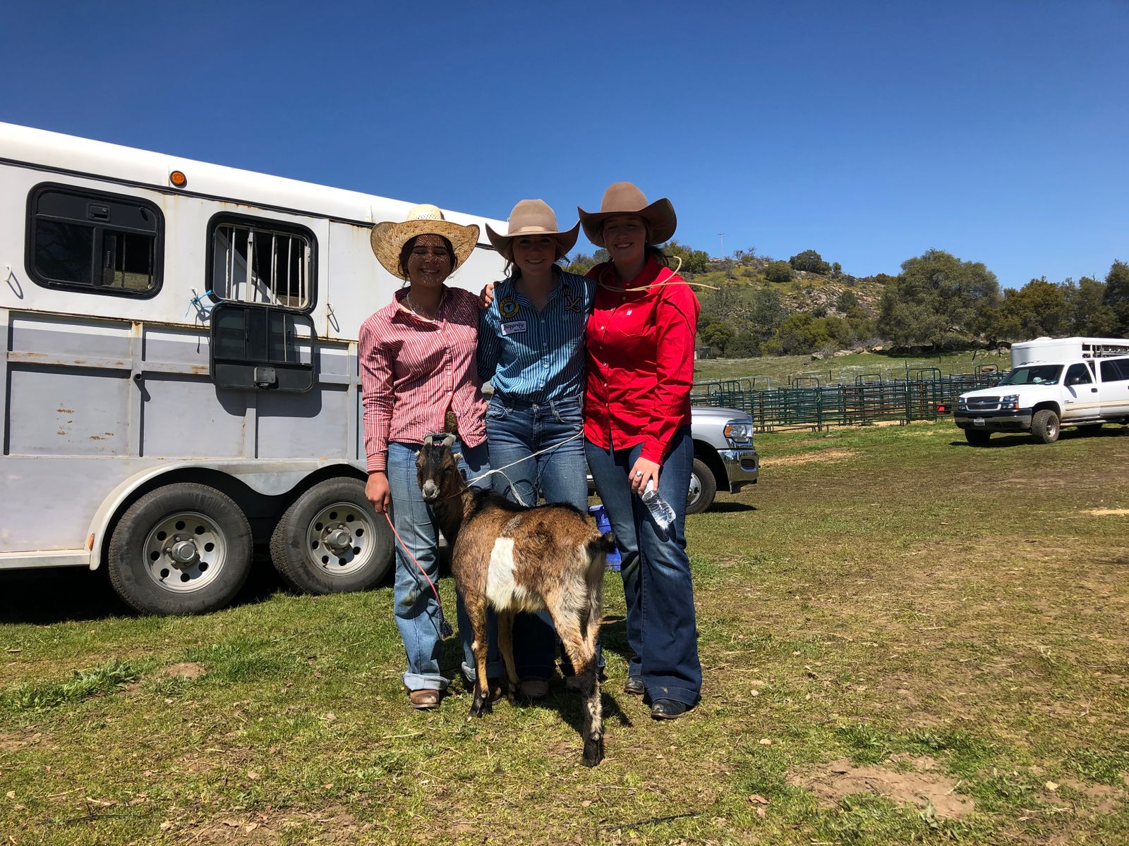 Willard Rope Company 3ply Goat String