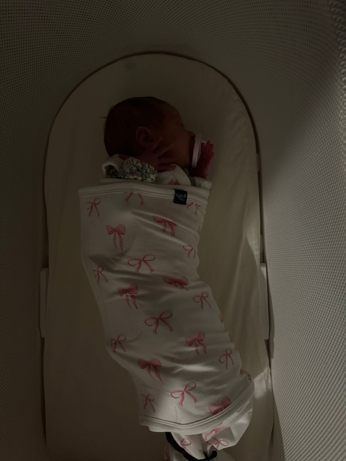 Sleep Bag Swaddler in Jurassic 1.0