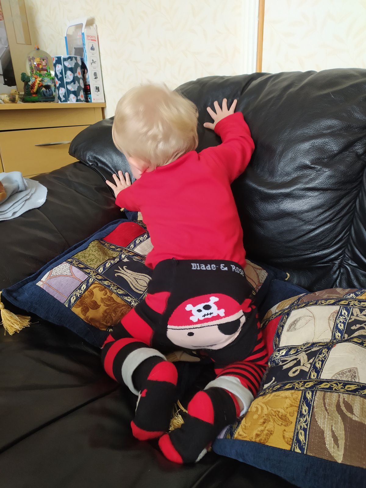 blade and rose pirate leggings