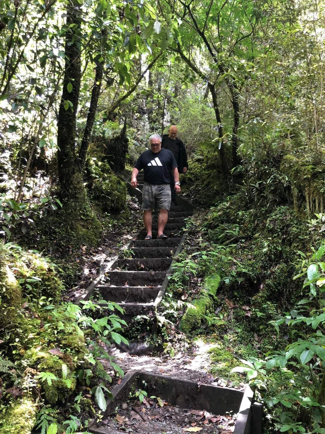 slides for high arches