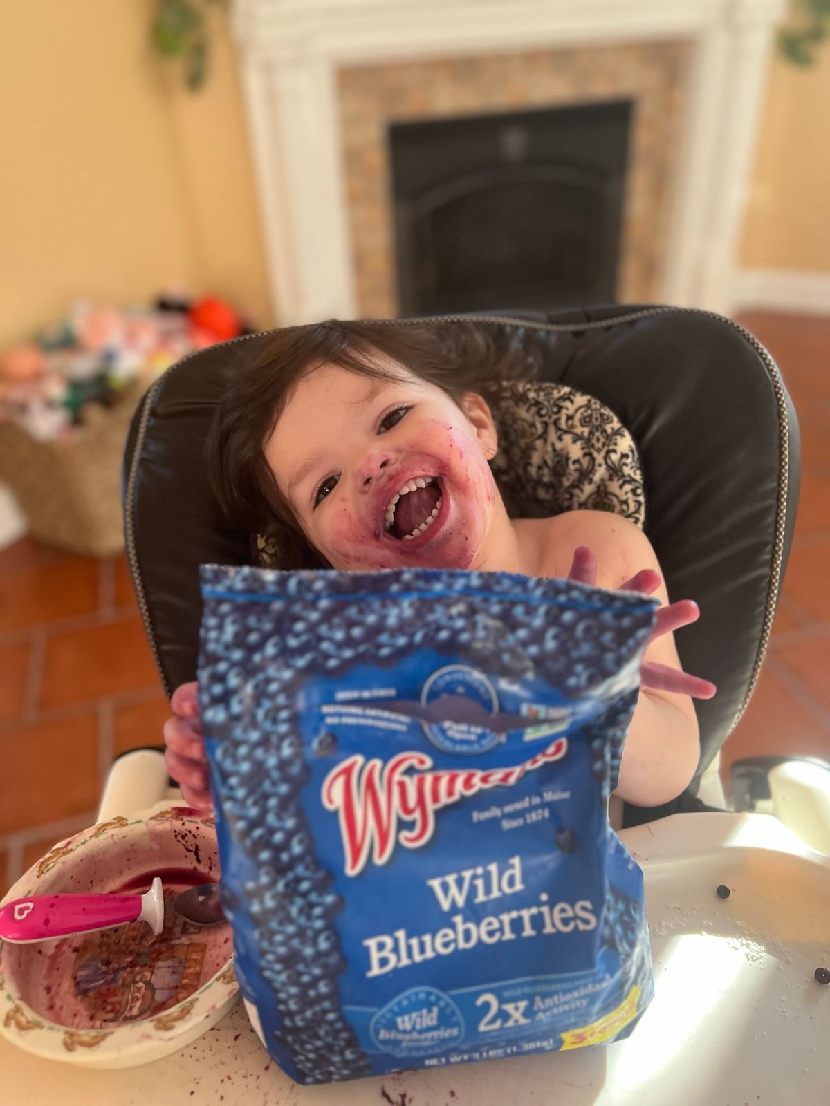 Wild Blueberry Juice 100 Juice — Shop Wyman's