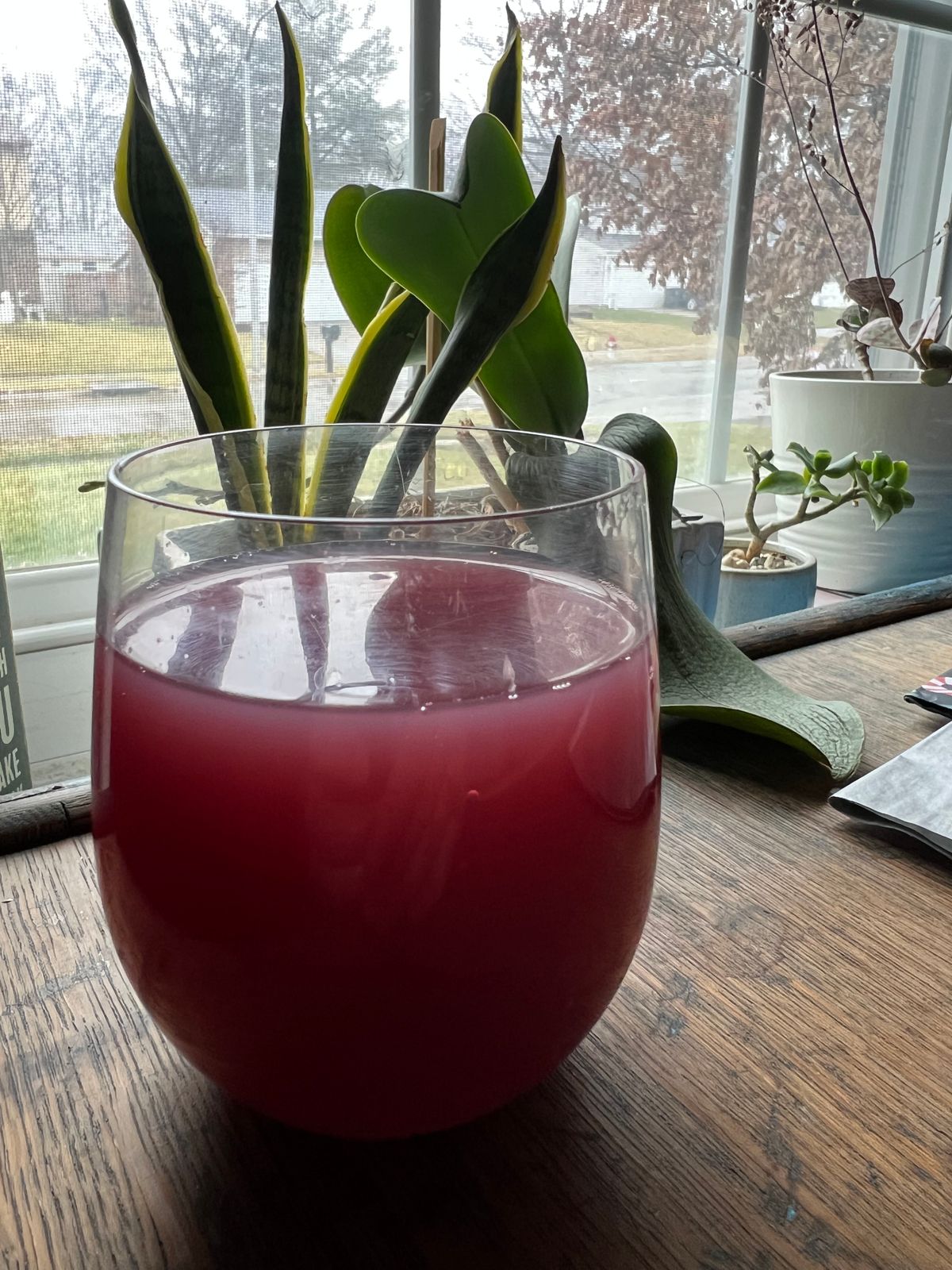 Wild Blueberry Juice 100 Juice — Shop Wyman's