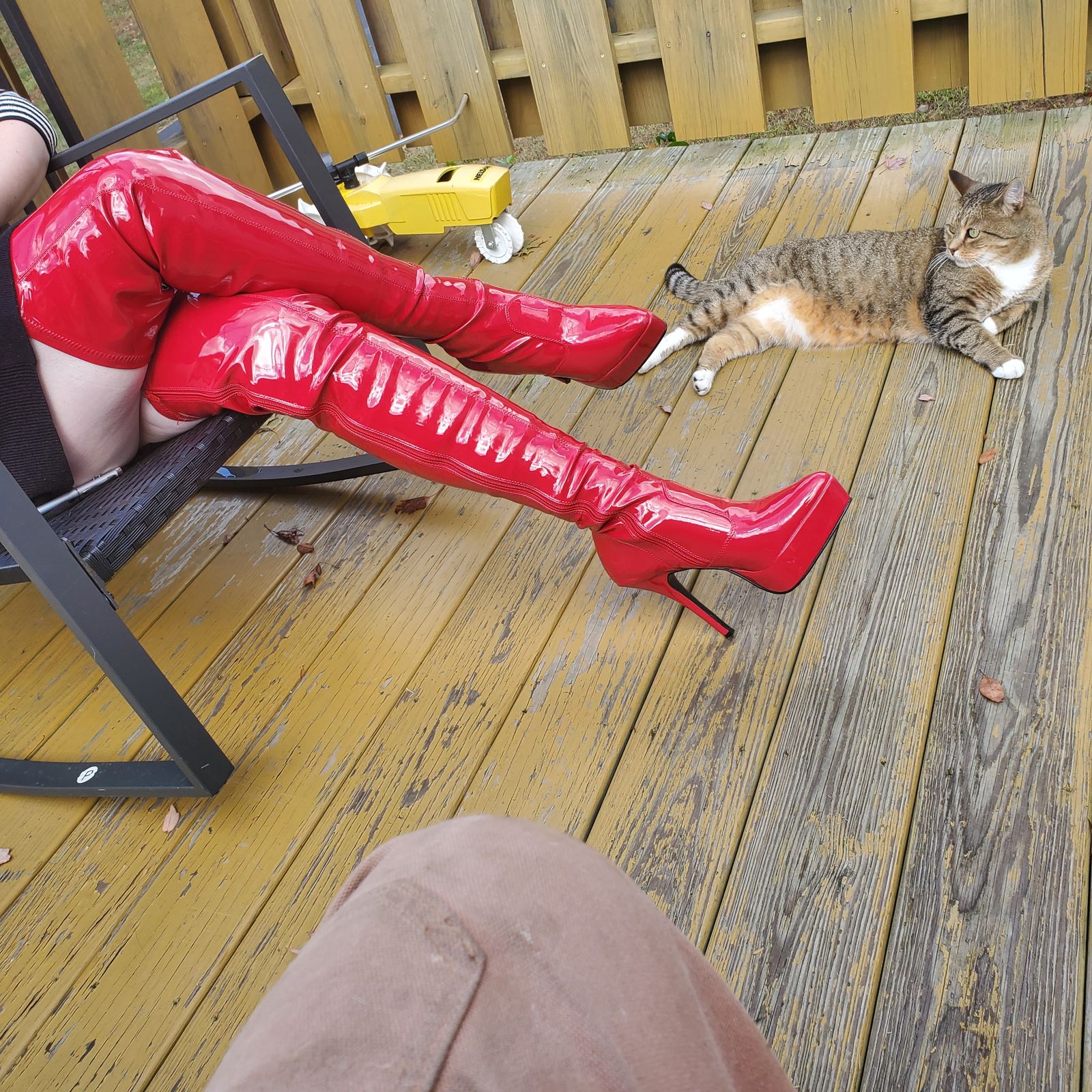 pleaser indulge 3000