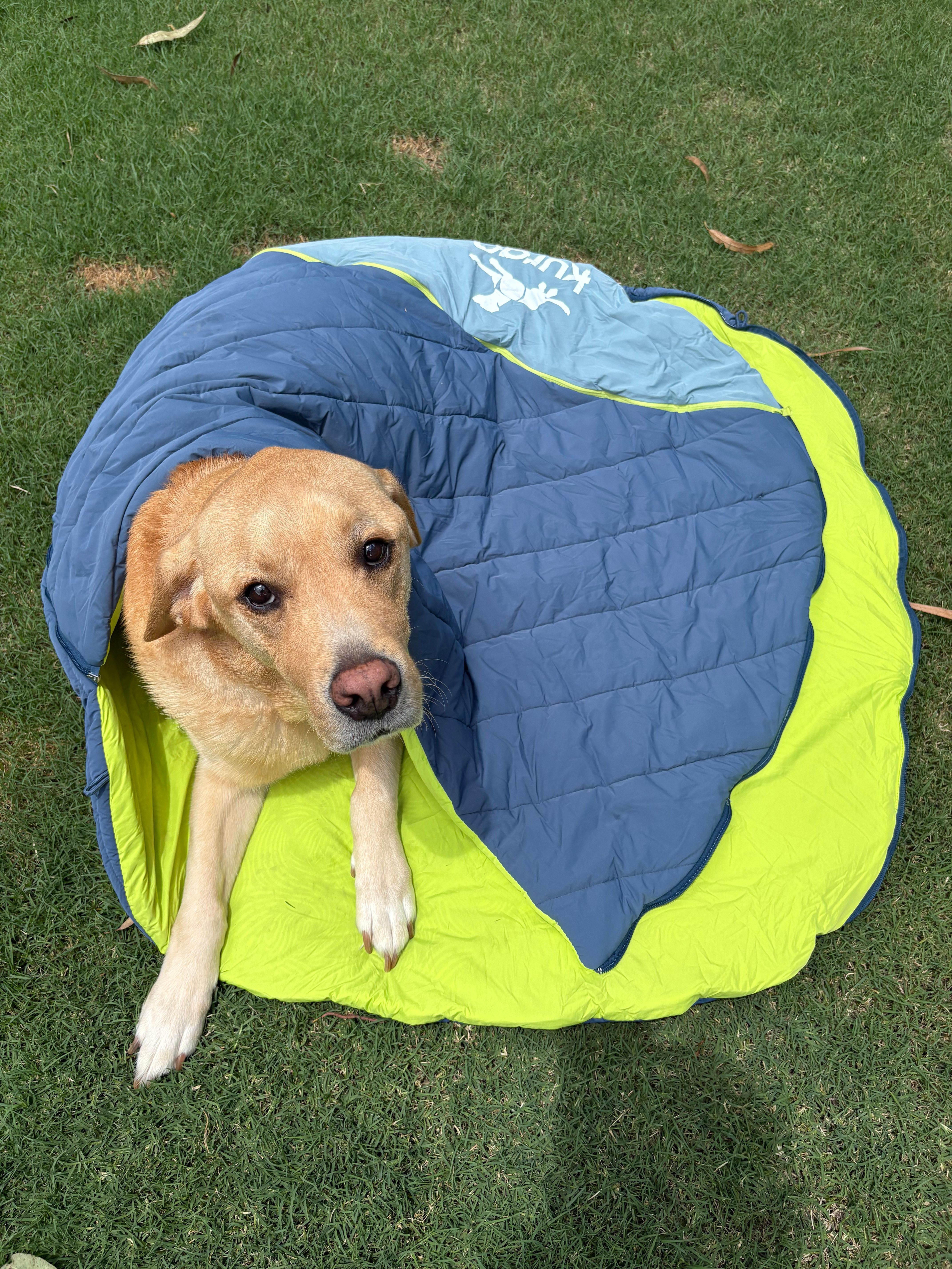 Pup Sack Dog Sleeping Bag Travel Mat Kurgo®