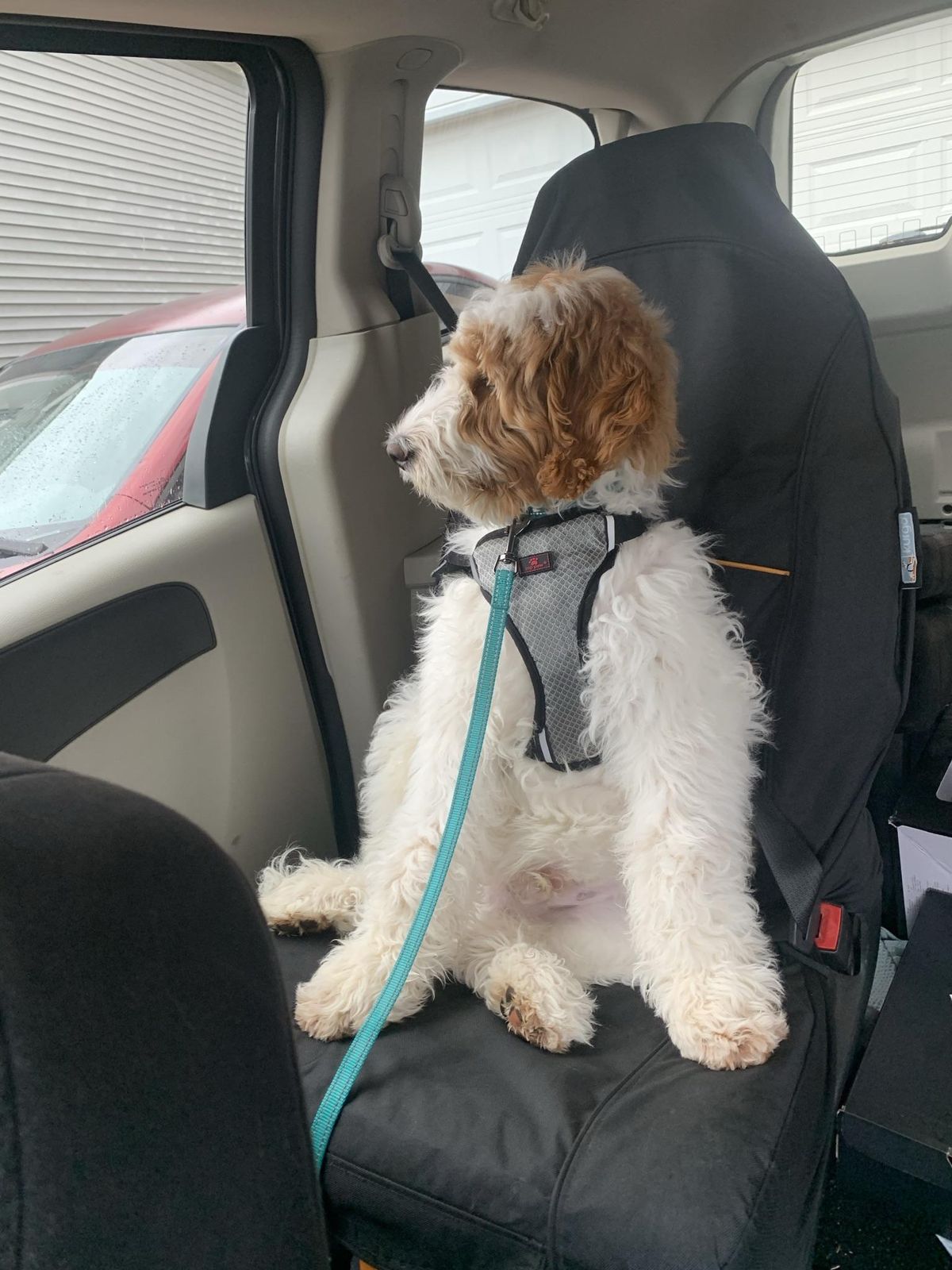 Rover Bucket Seat Car Cover Kurgo®