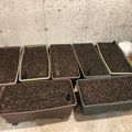 Seven rectangular planters filled with dark potting soil arranged on a concrete floor against a textured wall, with a wooden chair visible in the background