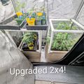 Interior of a greenhouse with multiple levels of plant containers and seedlings growing on white shelving systems, with the text "Upgraded 2x4!" overlaid at the bottom