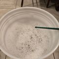 White bucket filled with soapy water and bubbles on a tiled floor with a green hose visible