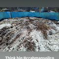 A large pile of soil or compost material contained within blue barriers, with text overlay reading "Think big #crabmansoilco"
