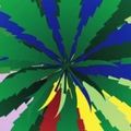 Colorful abstract starburst pattern with radiating lines in green, blue, yellow, red and other colors on white background