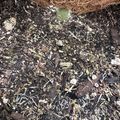 Dark soil with decomposing organic matter, wood chips, and plant debris scattered on the ground beneath dried grass or straw material
