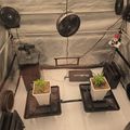 Indoor grow tent setup with small potted plants, fans for ventilation, and growing equipment on black trays