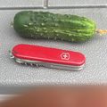 A small cucumber and red Swiss Army knife placed side by side on a tiled surface for size comparison