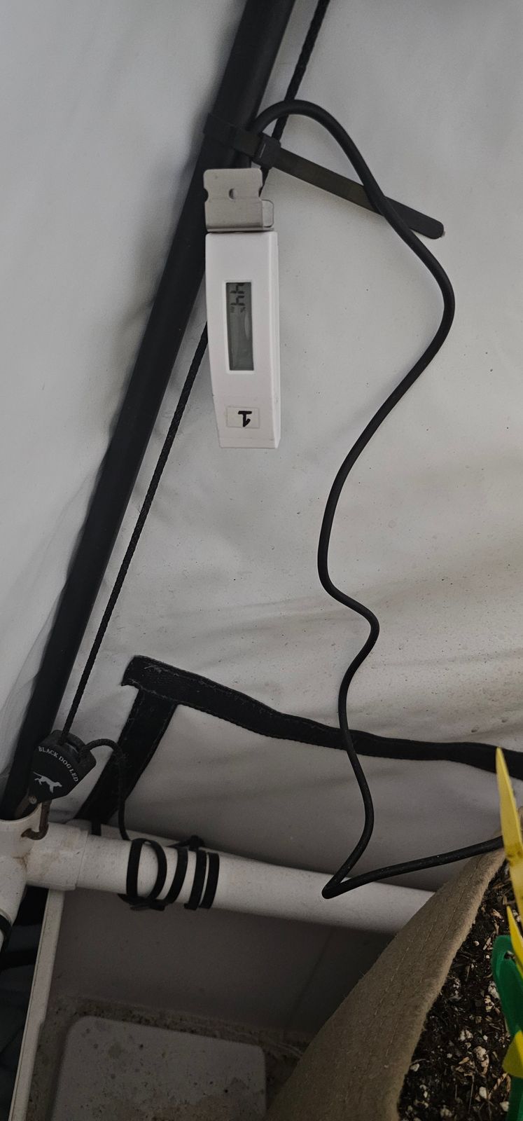 Soil Moisture Sensor - Complete Guide | Arduino Project Hub - Setting Up Alexa With Smart Soil Moisture Sensor