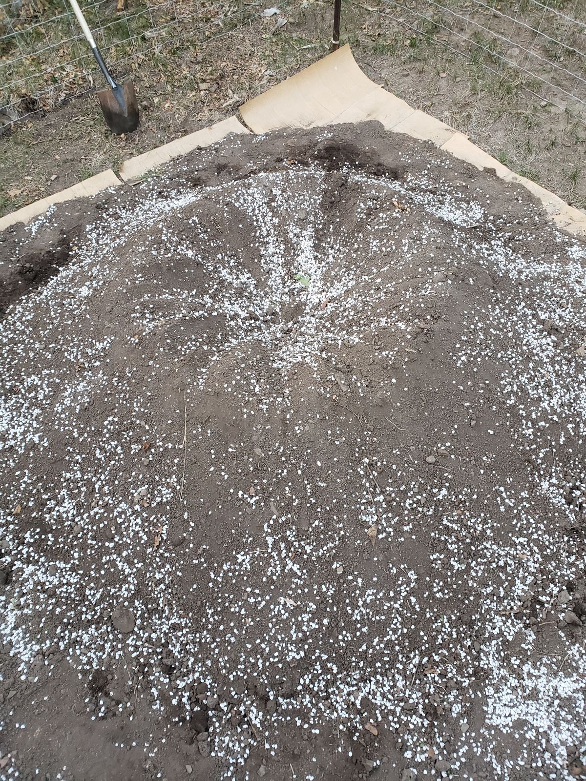 Pumice for Sale Bulk Pumice for Soil by BuildASoil