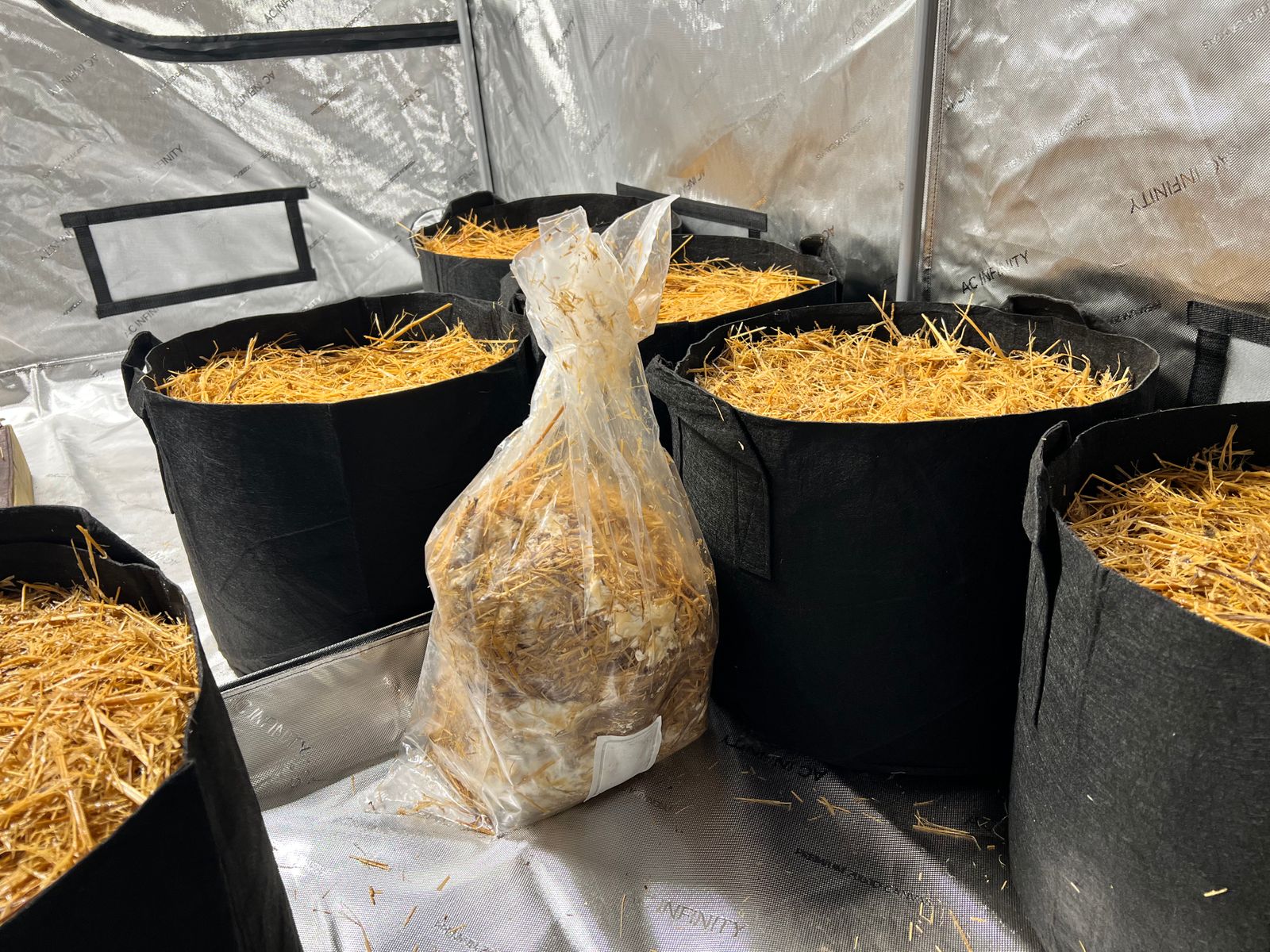 Pumice for Sale Bulk Pumice for Soil by BuildASoil