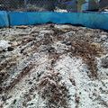 A blue container filled with mixed soil, compost, and organic matter in an outdoor setting with chain-link fencing visible in the background.