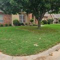 Single-story brick house with well-maintained front lawn, mature trees, and landscaped flower beds in a residential neighborhood