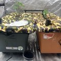 Two hydroponic growing containers with camouflage covers and small plants sprouting from the tops, set up in what appears to be a grow tent environment