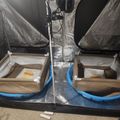 Indoor hydroponic growing setup with two fabric plant containers connected by blue tubing under grow lights in a reflective tent enclosure