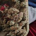 A collection of dried plant material on rolling papers