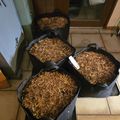Four black bags filled with dried plant material or mulch sitting on a tiled floor near a glass door