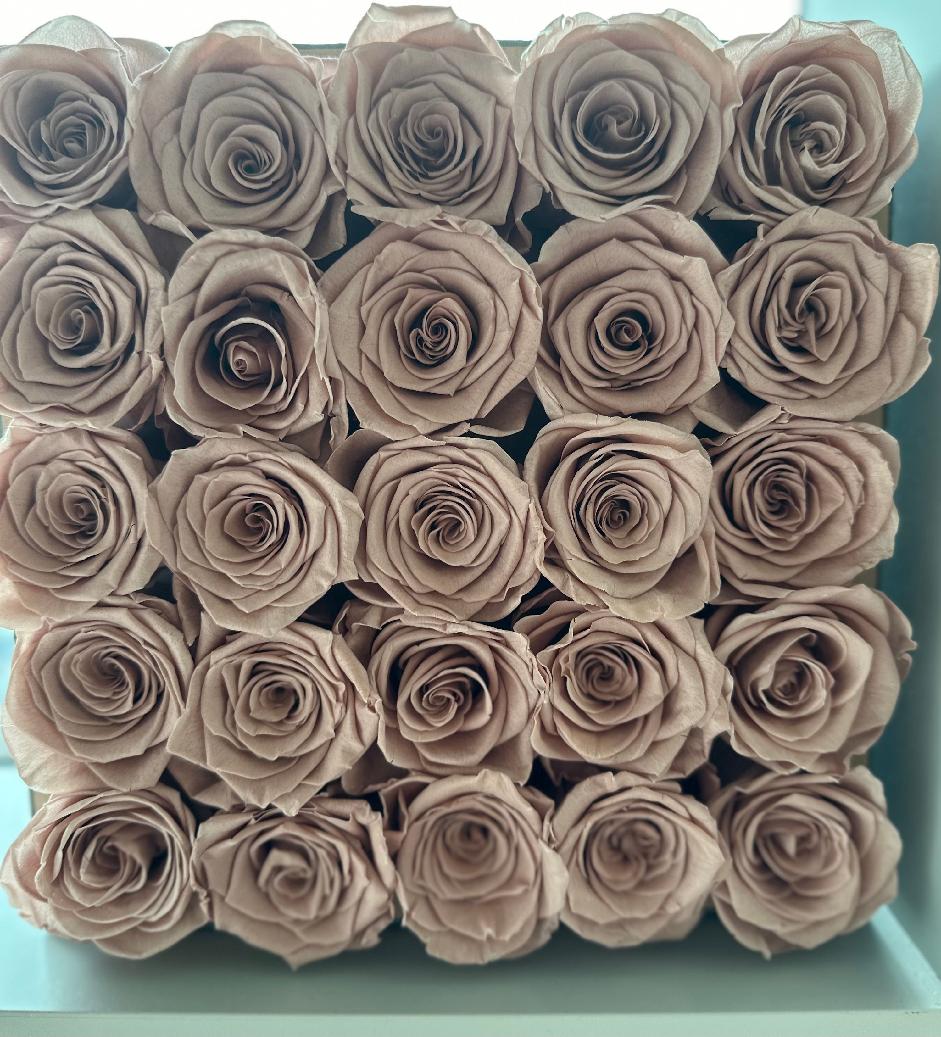 Eclipse - Dusty Pink Matrix Rose Box – AMARA PREMA