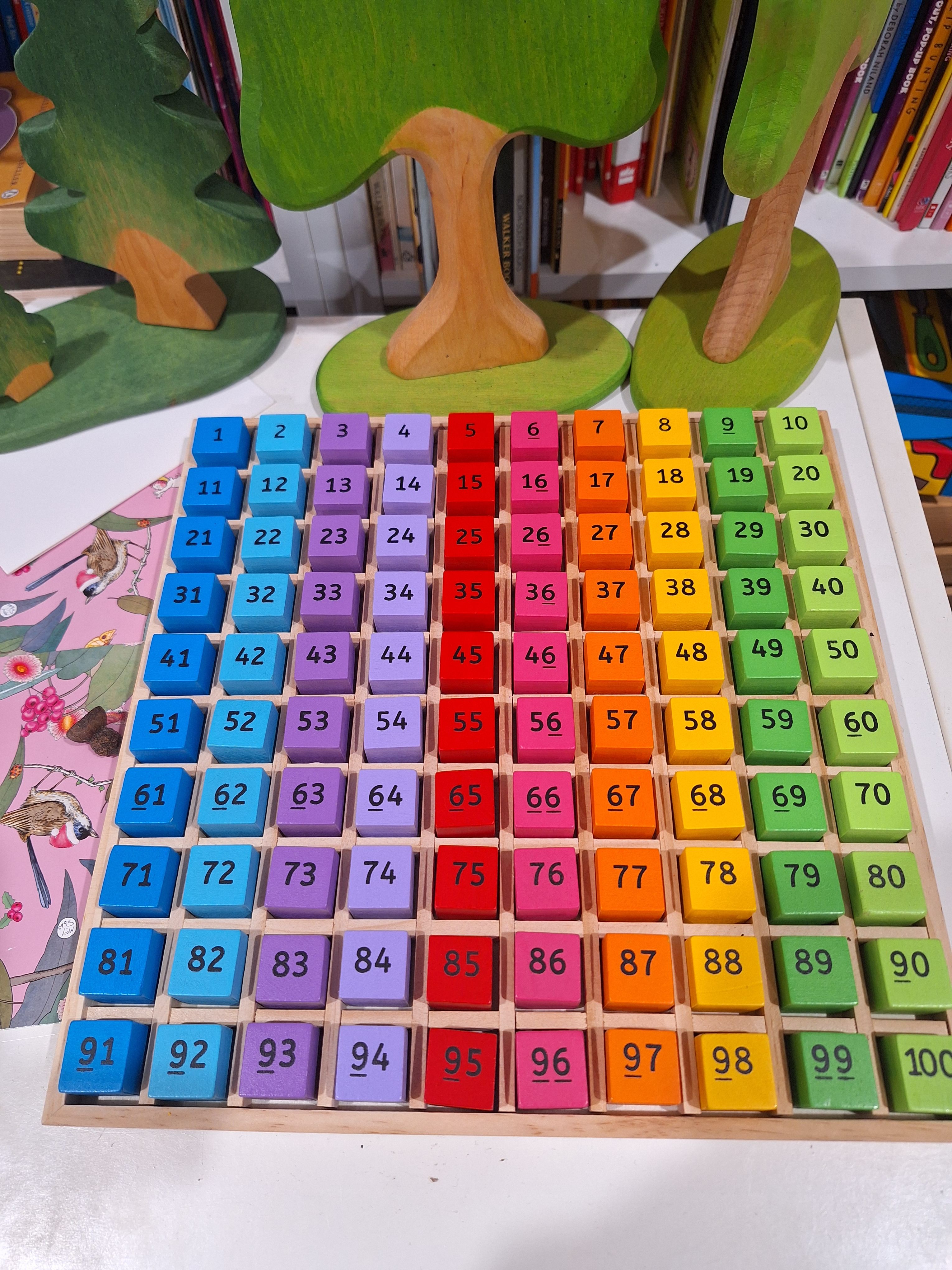BigJigs Number Tray 1-100 Early Math STEM Cognitive