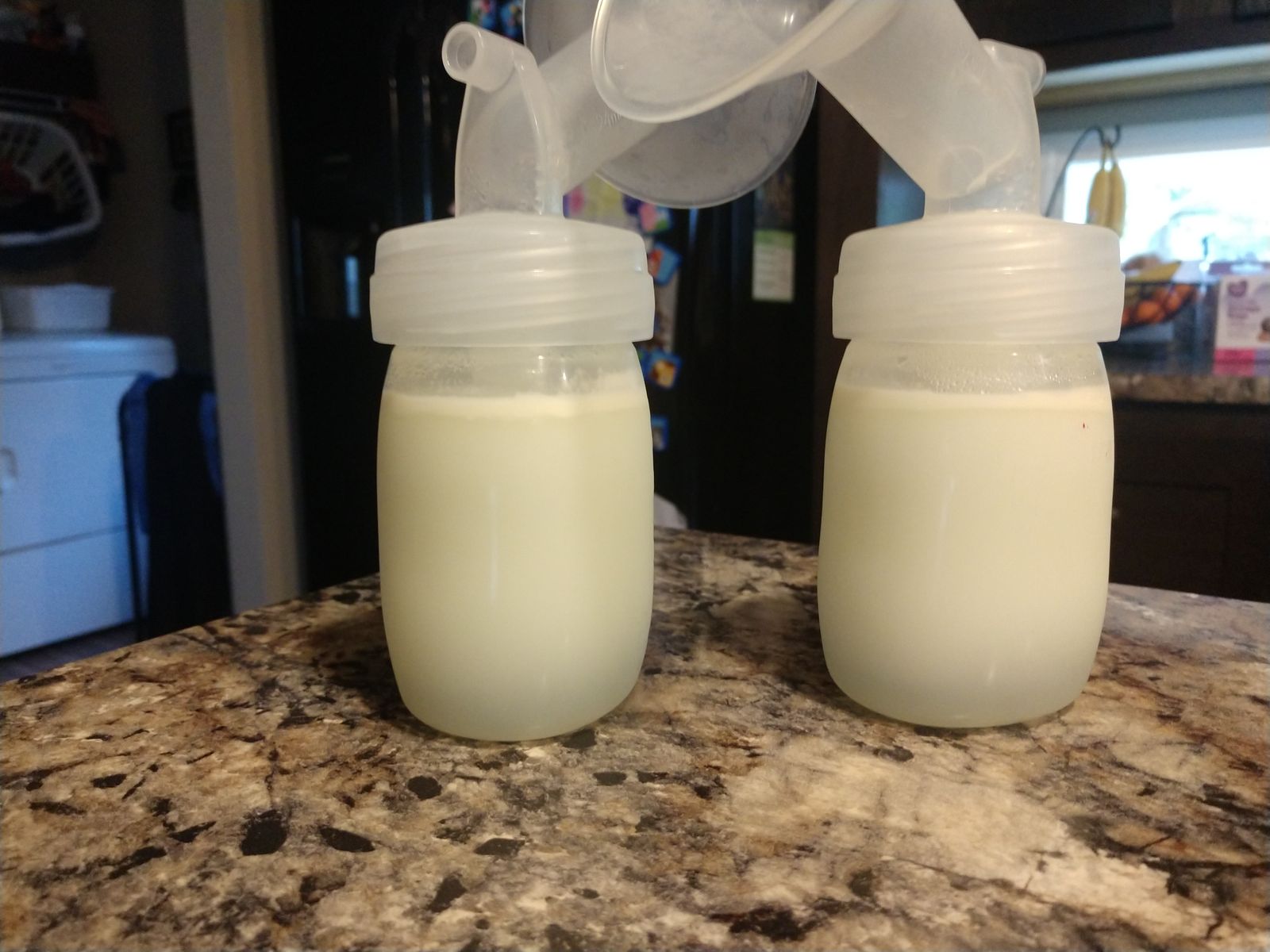 Organic Sunflower Lecithin Natural Fat Emulsifier Legendairy Milk