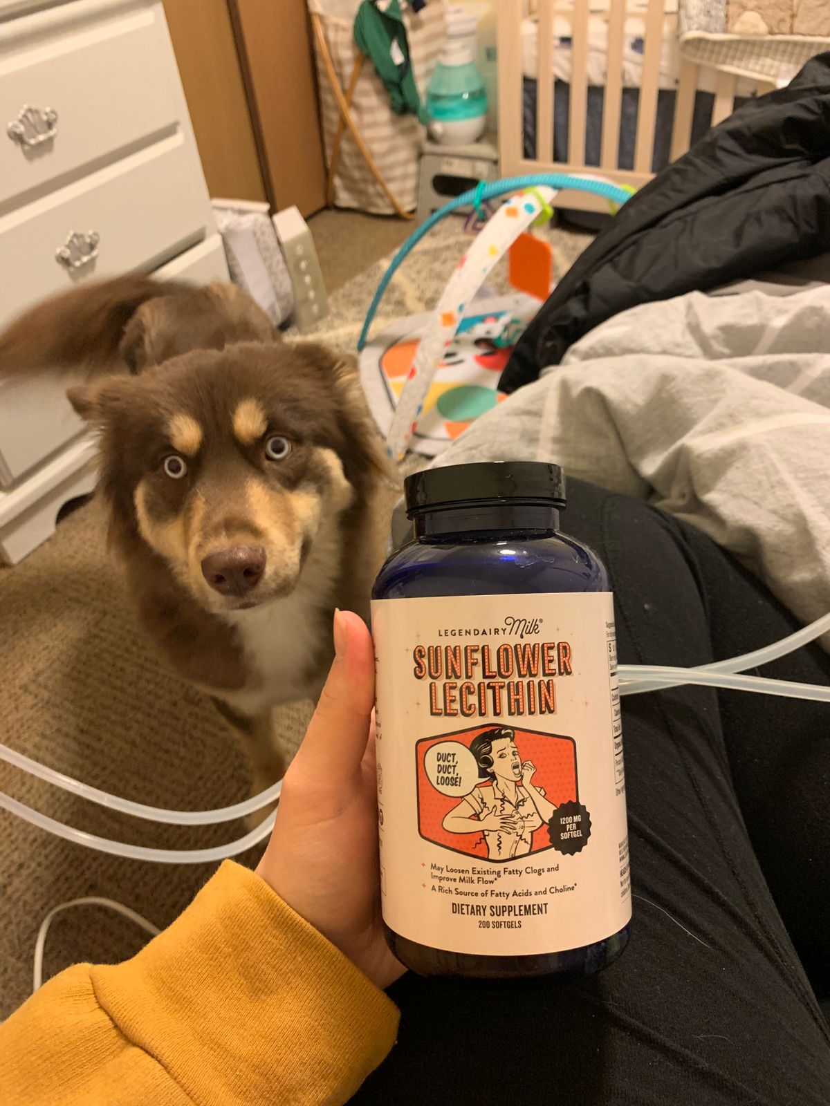 Organic Sunflower Lecithin Natural Fat Emulsifier Legendairy Milk