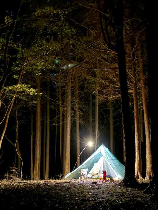 UltaMid 4 Half Tent Insert - Hyperlite Mountain Gear