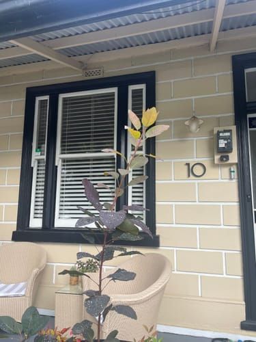 Review by Maggie McCulloch