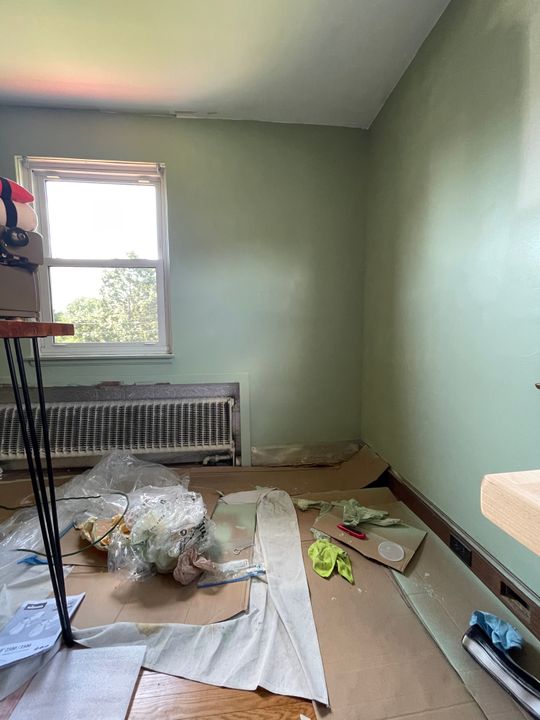 Money Moves Sage Green Paint Color Clare