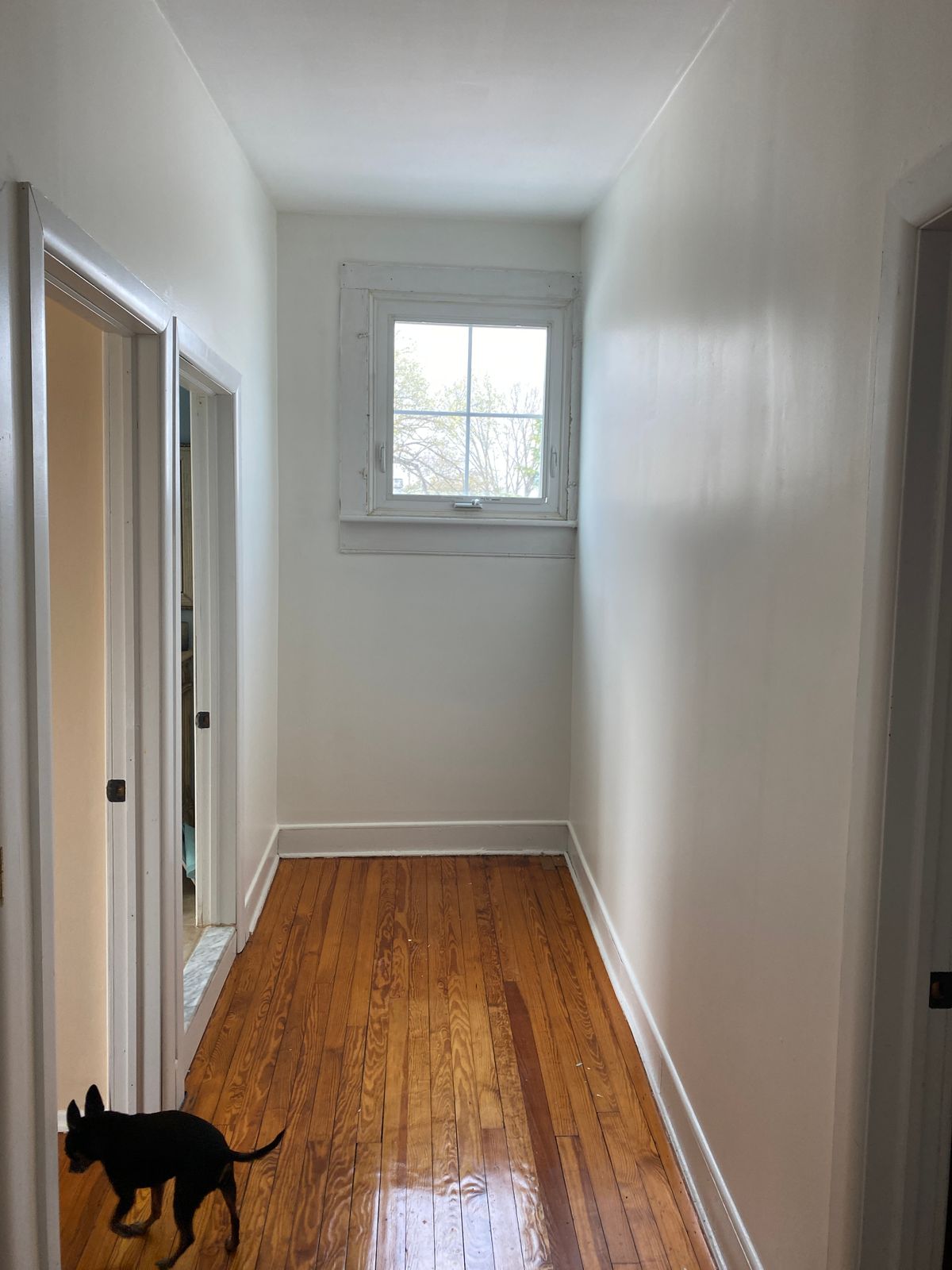 Whipped Warm White Paint Color Clare