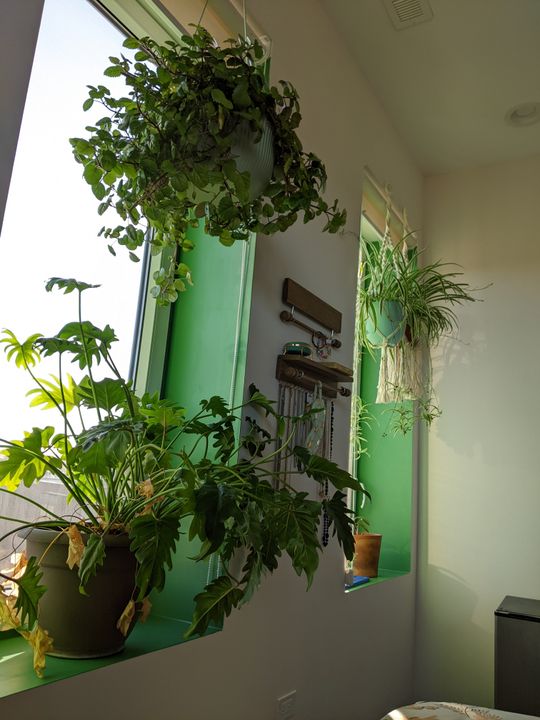 Matcha Latte Matcha Green Paint Color Clare