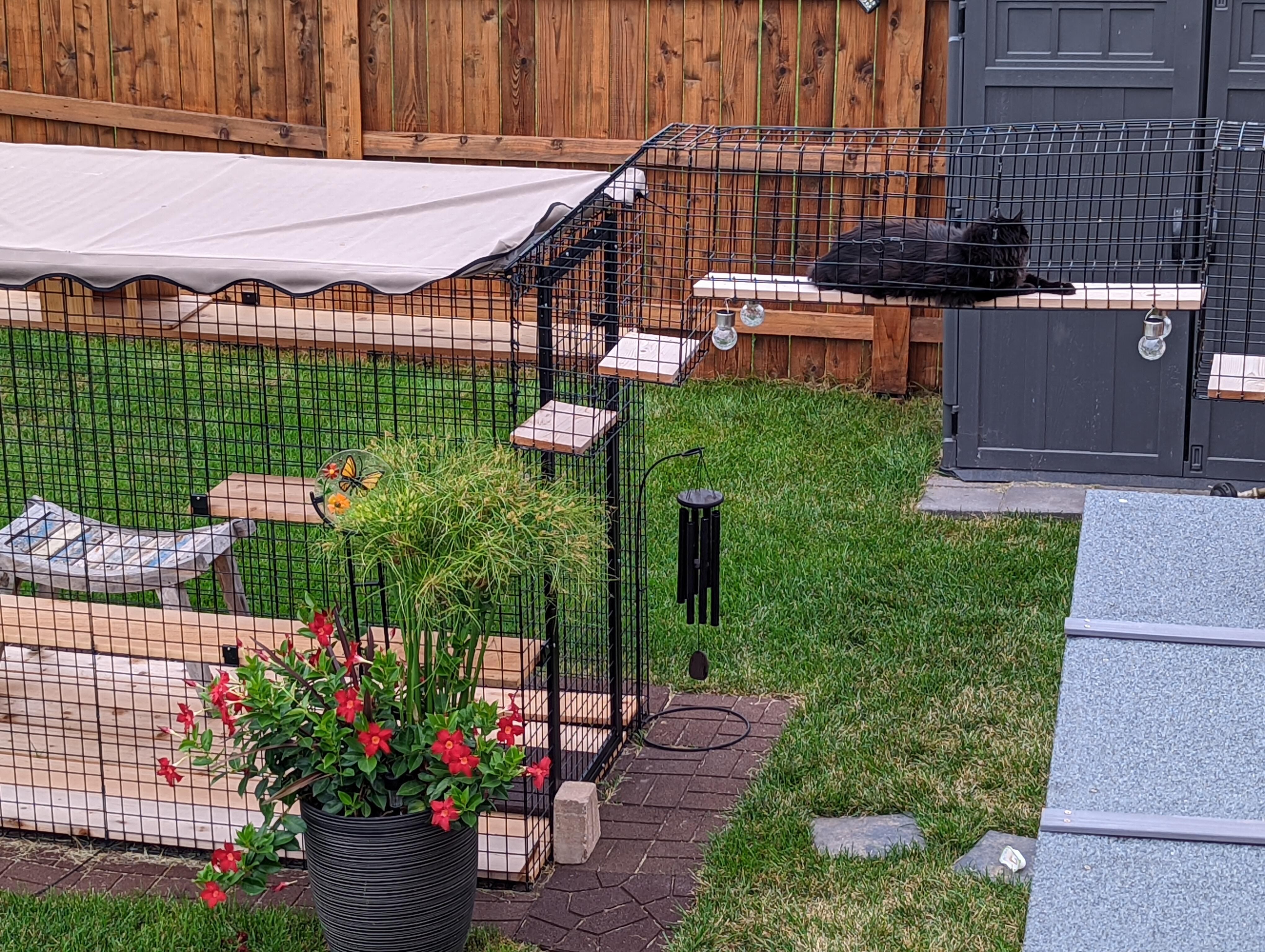 Catio Bridge Straight (Royal Catio Deluxe Slimline Cat Enclosure