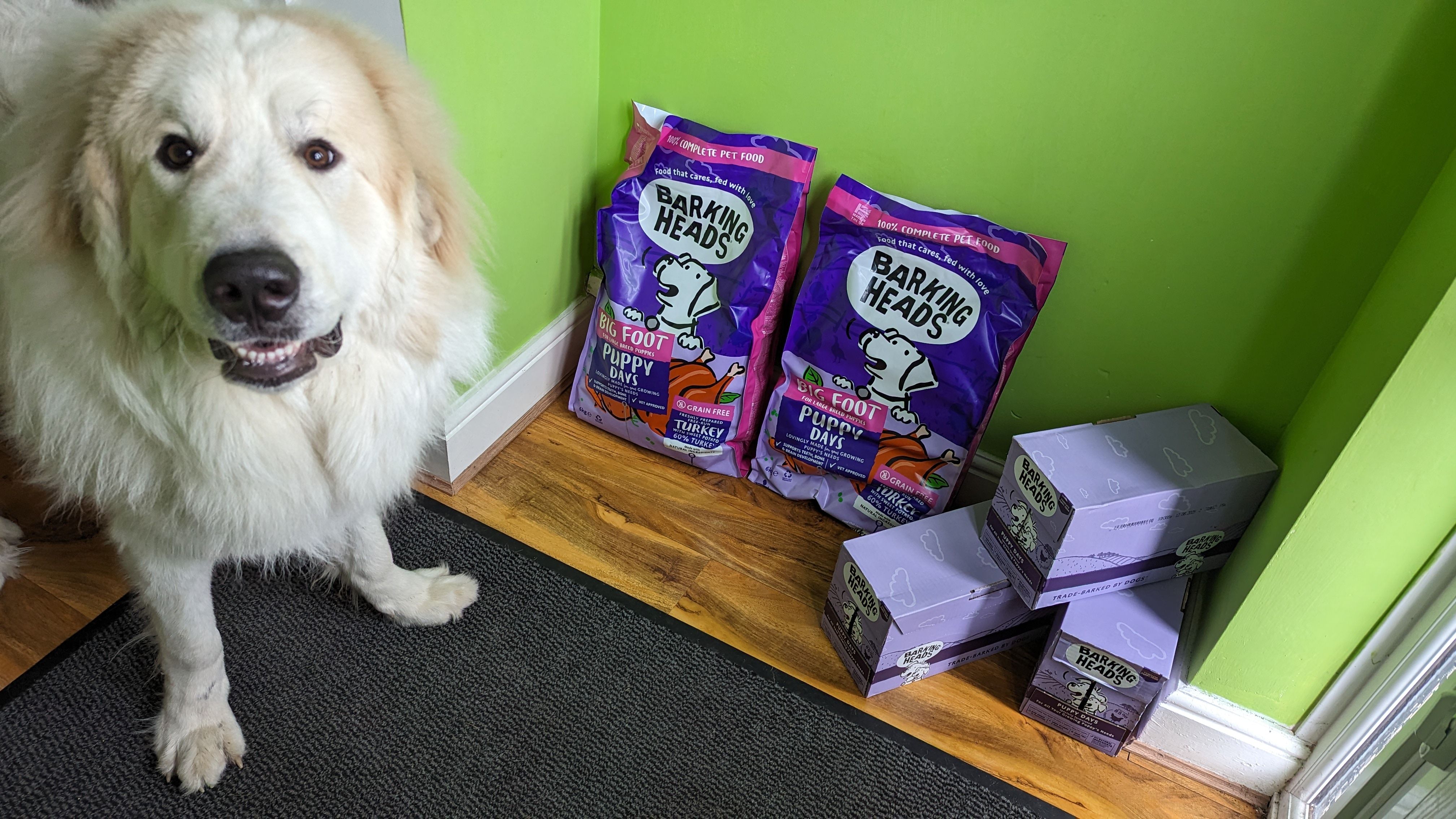 barking heads large breed puppy food