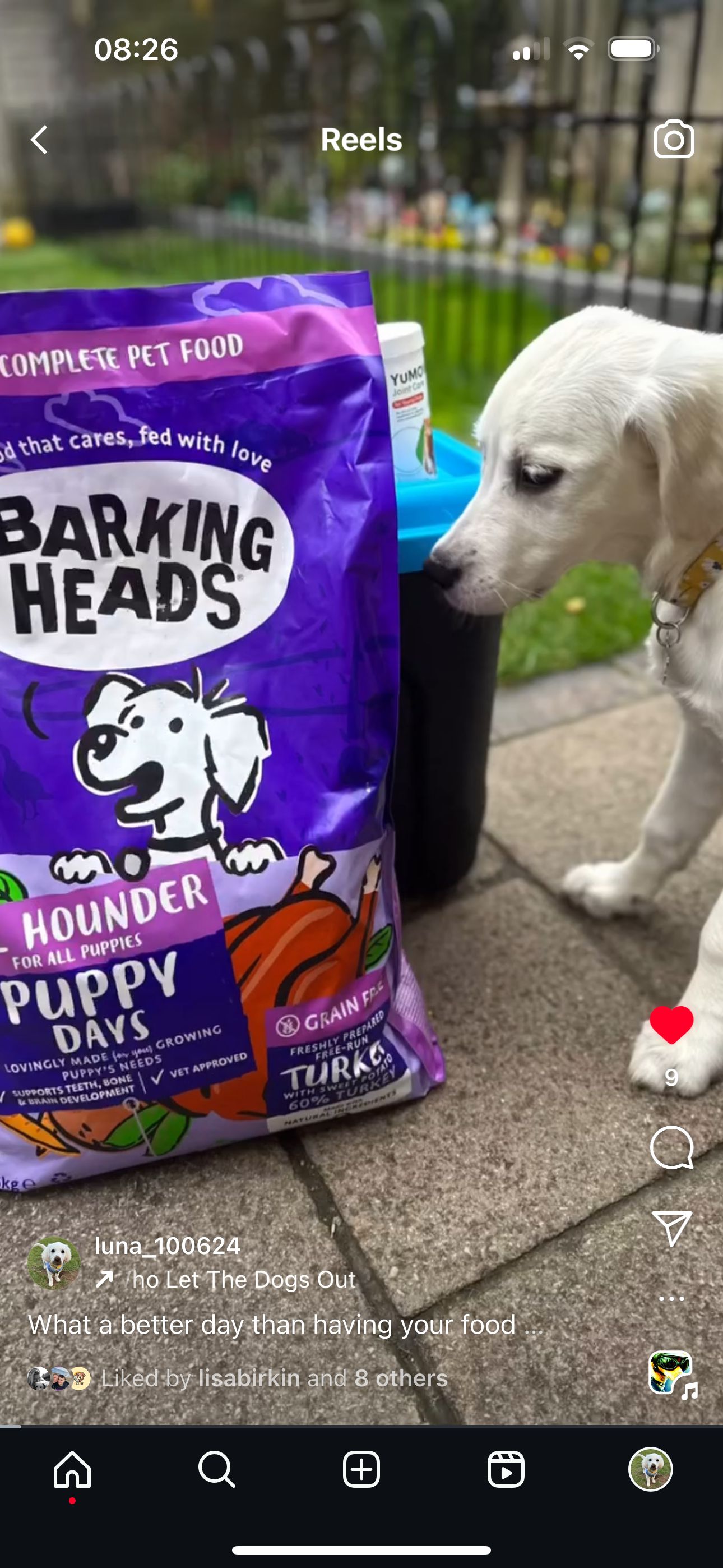 barking heads large breed puppy food