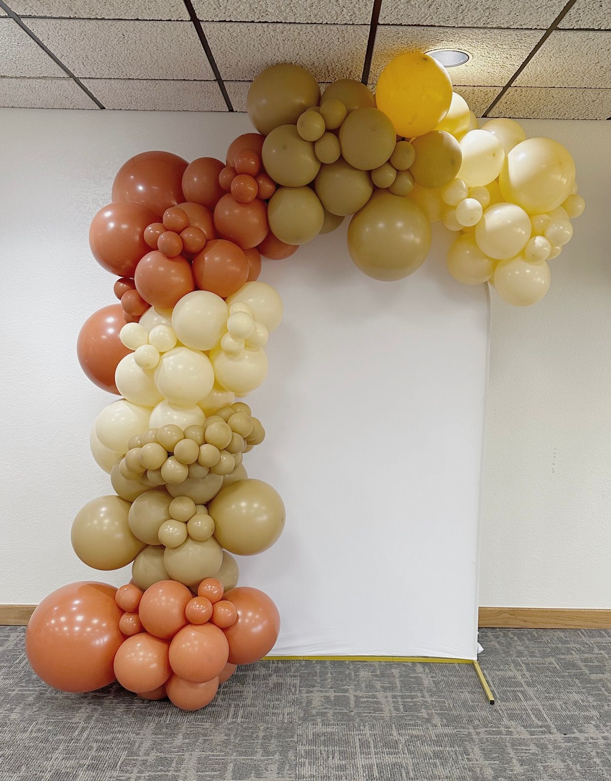 美品☆貴重カラー☆ARTS & SCIENCE Balloon coat 18 inch Sempertex Fashion Violet Latex Balloons 25ct – Toy