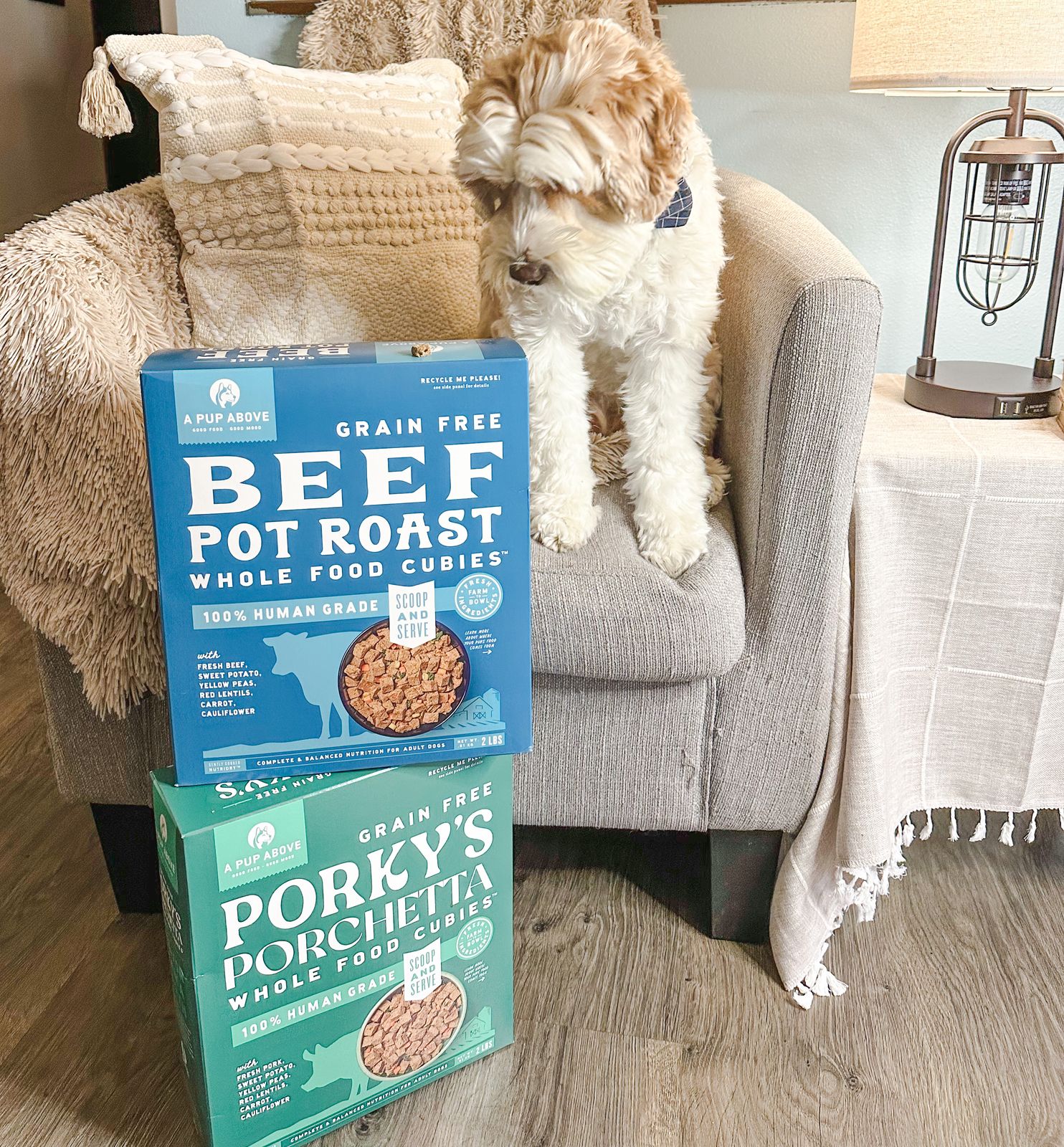 Curated visual reference: Grain Free Beef Dog Food With Sweet Cinnamon Reference: Texas Beef Stew Fresh Grain Free Beef Dog Food