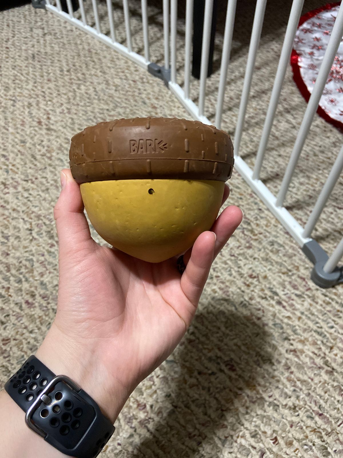 barkbox acorn