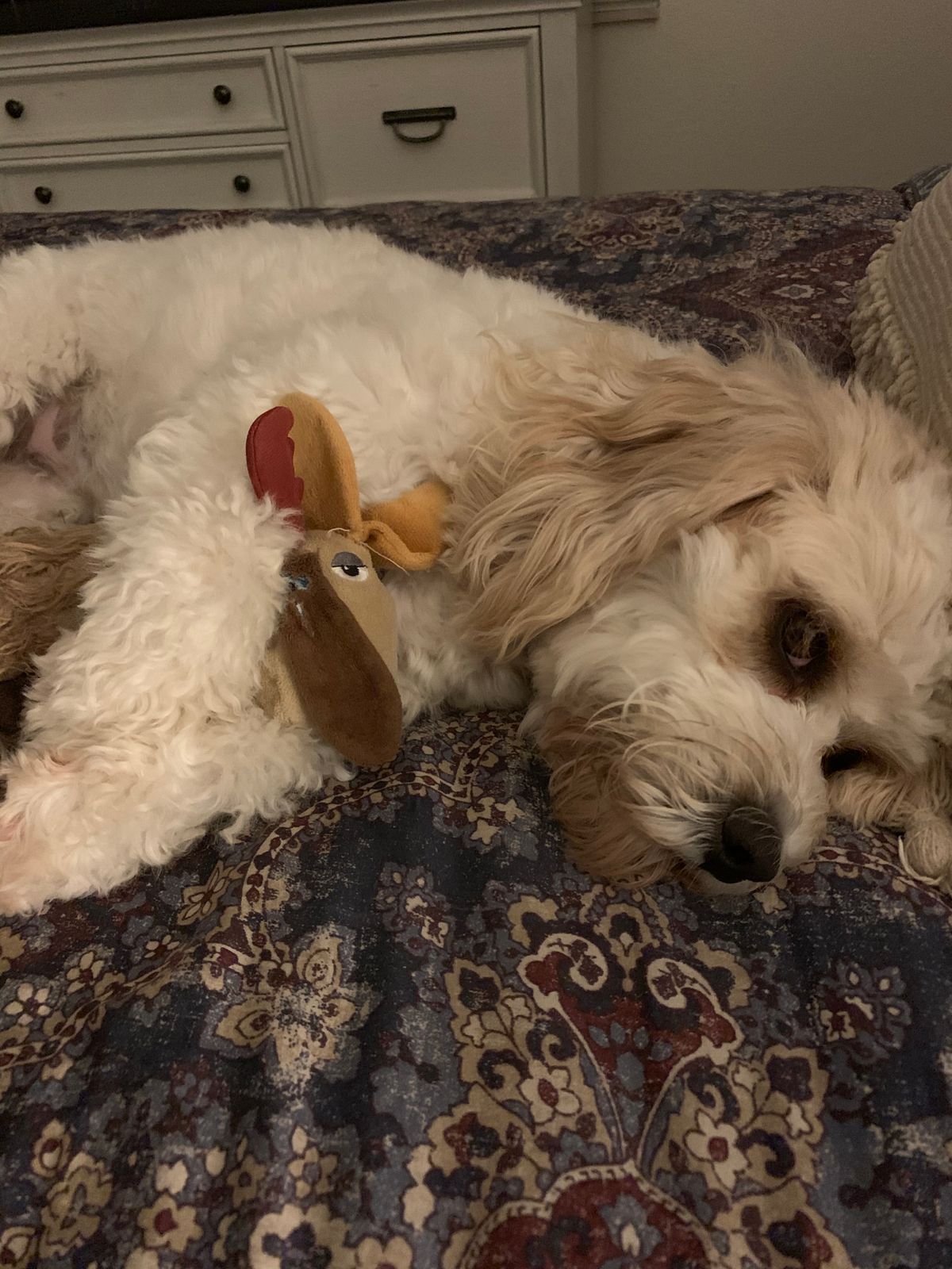 fred the reindeer dog toy