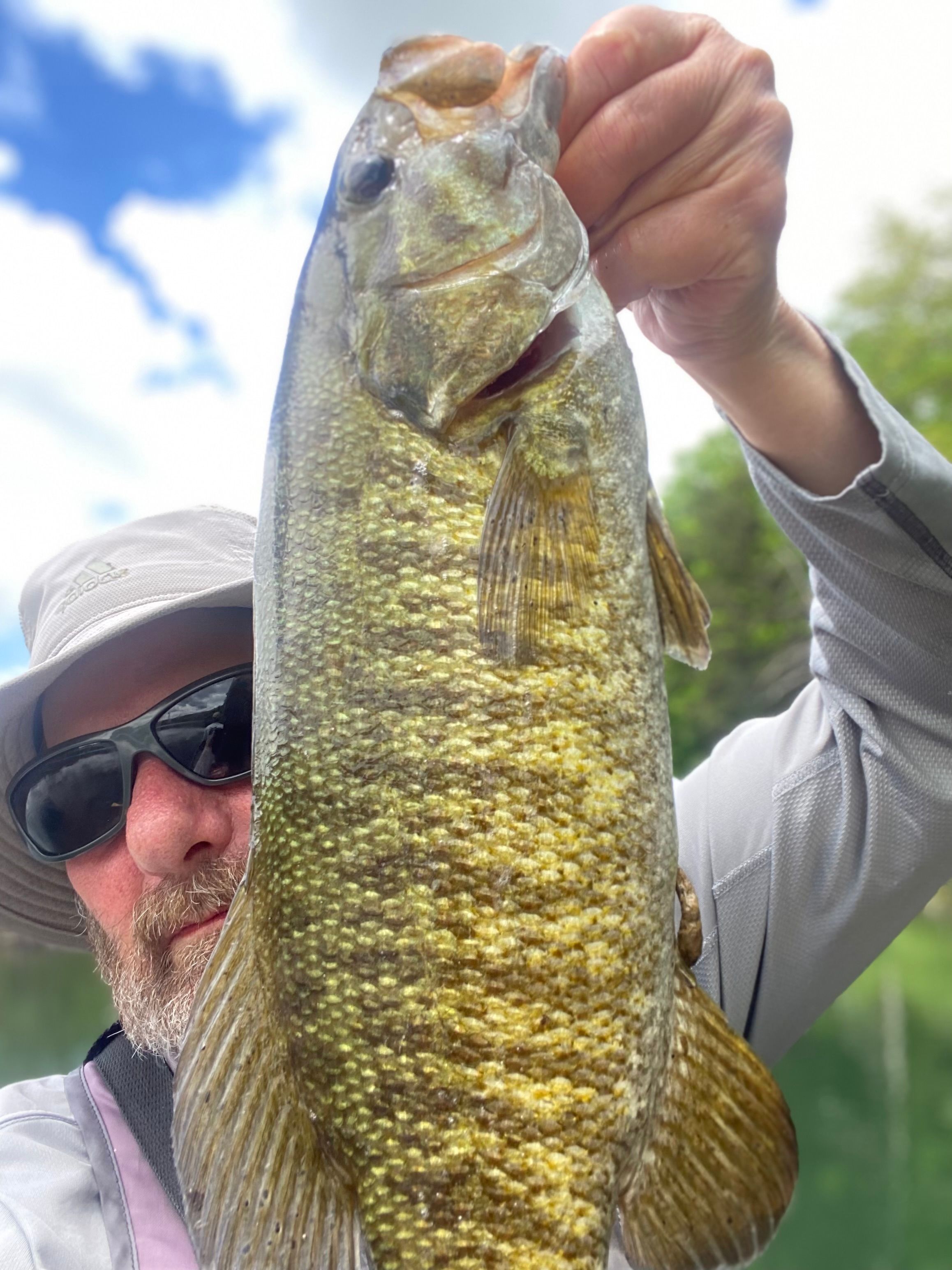 Fusion19™ EWG Hooks | Berkley Fishing®