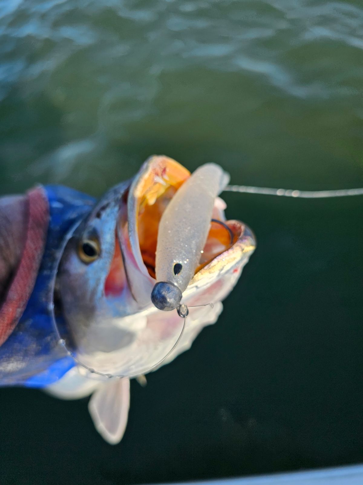 Trout Fishing Best Gear Ratio For Jig Fishing Casting Reel Best