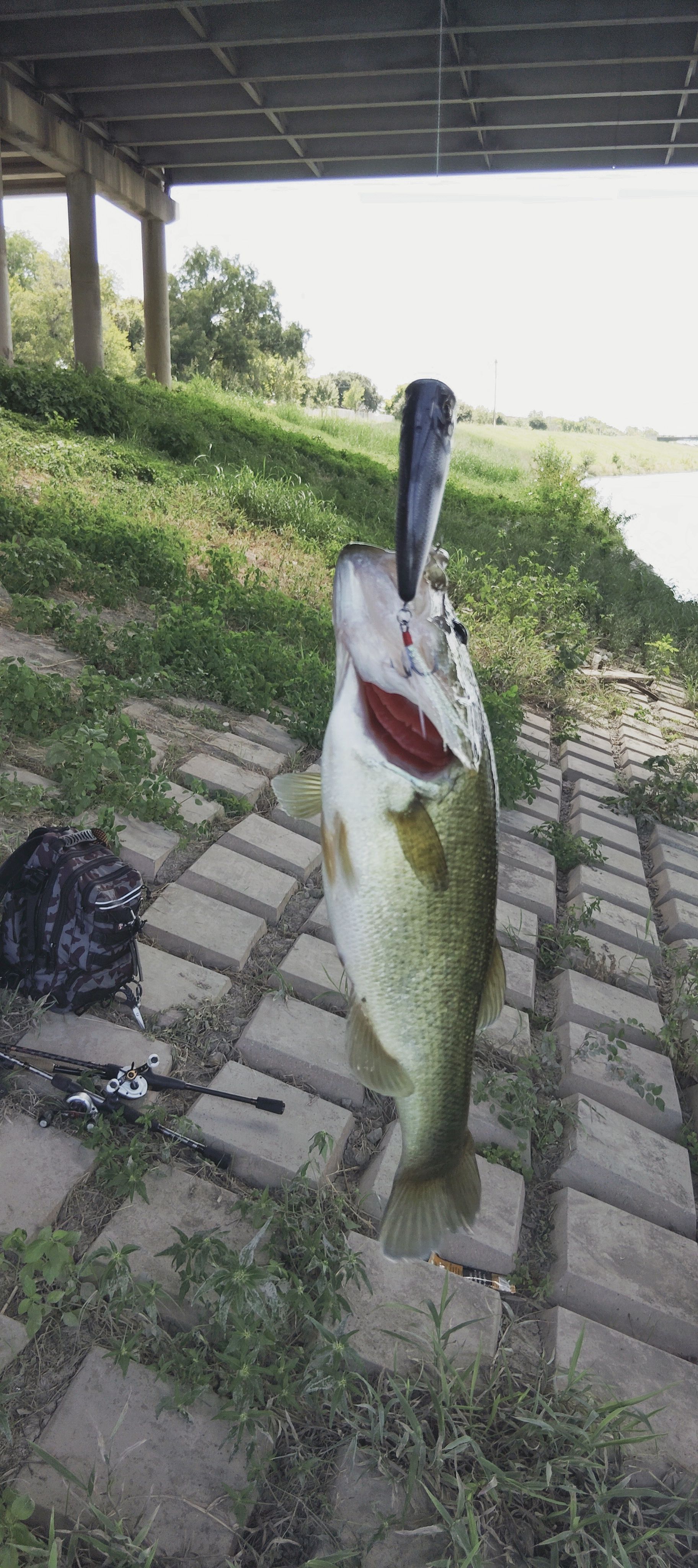 Bullet Pop | Berkley Fishing®