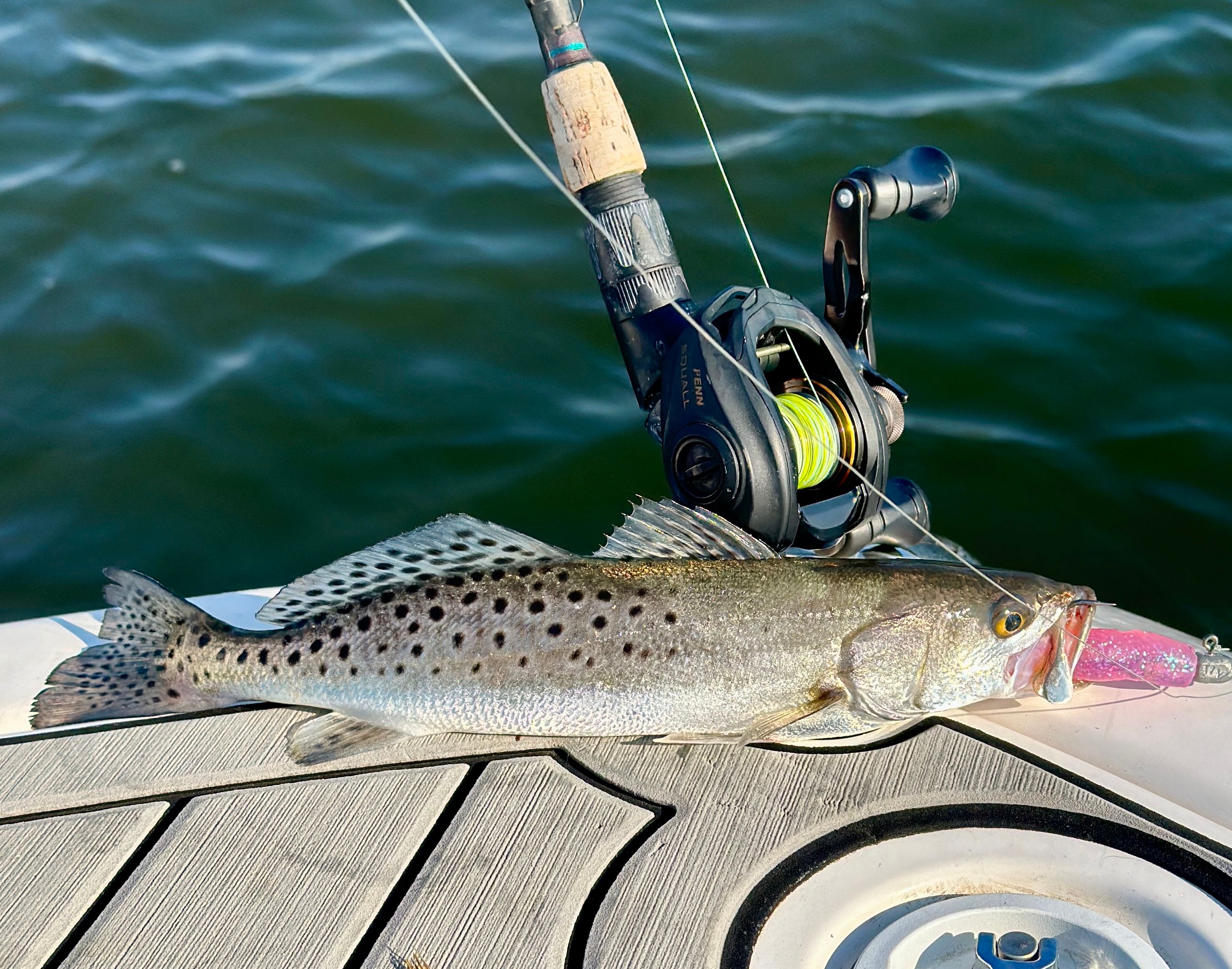 feelfree lure ll tandem overdrive v2 fishing kayak II w/ Marina Beach Fish Market Mayfly Dries available separately Size:4 x 14g Weighted Ball Hooks 5/0