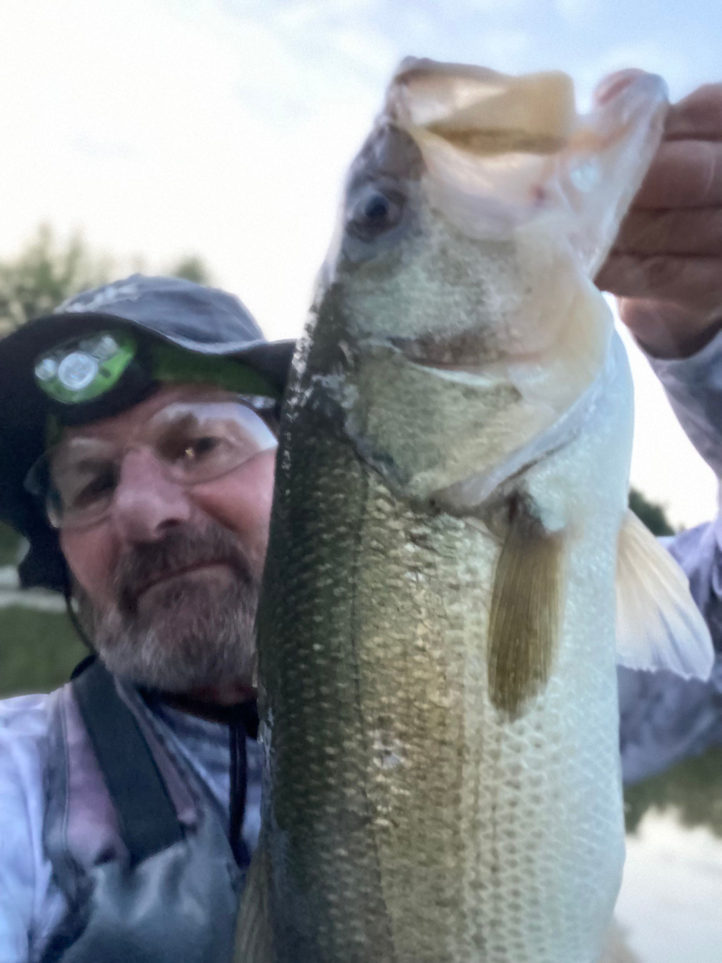 thumbnail image 2 of Fishing Hooks BERKLEY Fusion19 Superline EWG Hook Whopper Plopper 90 2 of 13